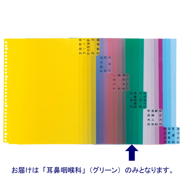 ケルン　KS-782-14　科別インデックス（耳鼻咽喉科）　A4　1パック（100枚入）　（直送品）