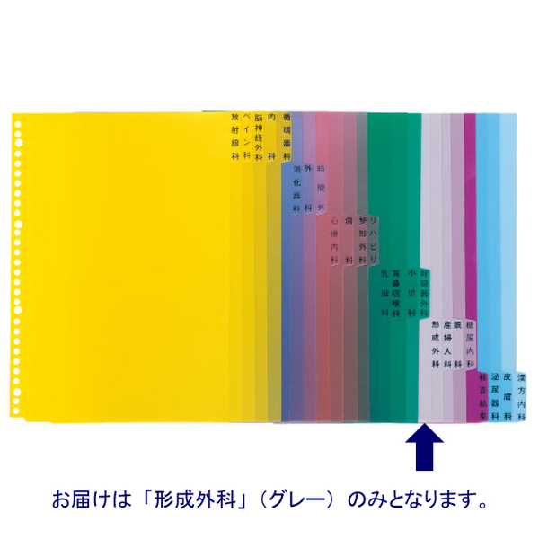 ケルン　KS-782-17　科別インデックス（形成外科）　A4　1パック（100枚入）　（直送品）