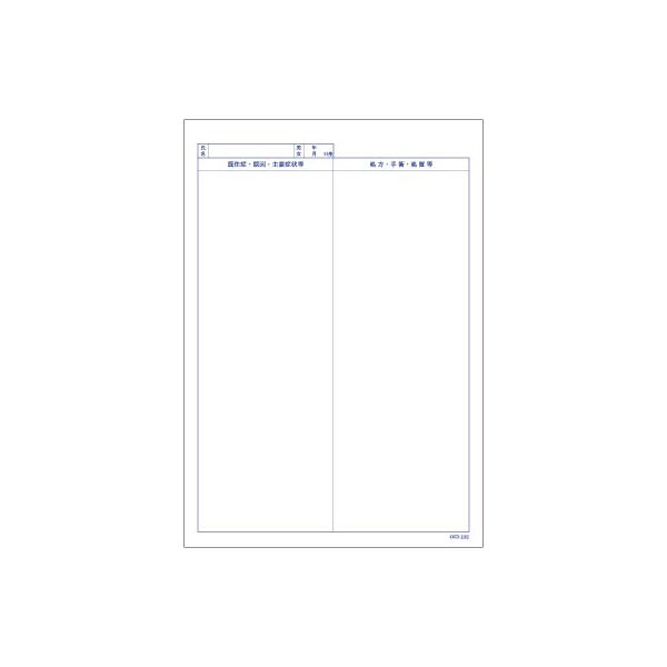 国保46号　CCD102　1箱（1000枚：100枚入×10冊）　東杏印刷　（直送品）