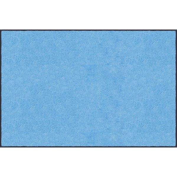 玄関マット 万能タイプ スタンダードマットS 90×180 cm スカイ・ブルー（直送品）
