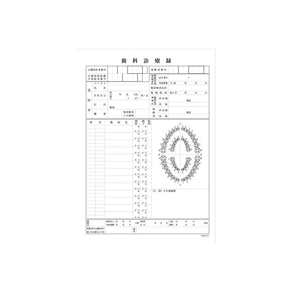 【アウトレット】A4歯科診療録 1号紙 黒刷 CCE021 1袋（100枚入） イムラ封筒