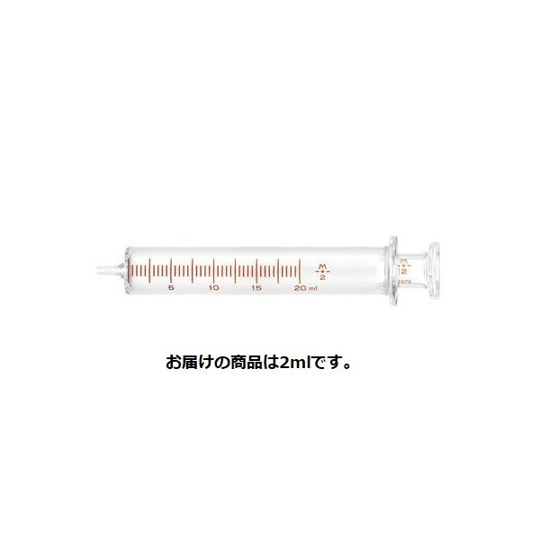 トップ 硝子注射筒（インターチェンジャブル） 2mL 00055 1箱（10本入