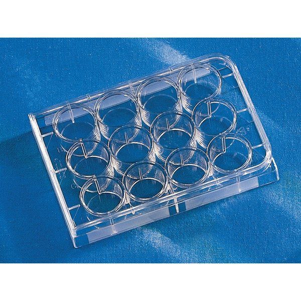 コーニングインターナショナル マルチプルウェルプレート 12ウェル 平底 1箱(1枚×50袋入) 3513 1箱(50枚)（直送品）