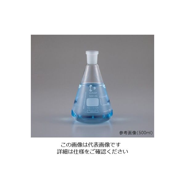 DWK Life Sciences NS共通摺合三角フラスコ 50mL 241931803 1個 1-8407-03（直送品）