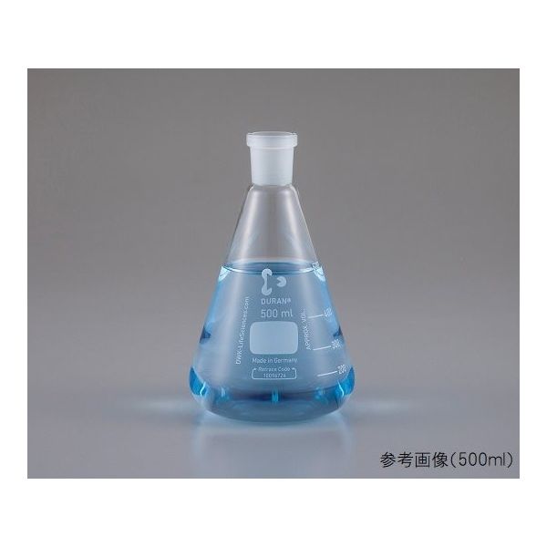 DWK Life Sciences NS共通摺合三角フラスコ 1000mL 241935402 1個 1-8407-16（直送品）