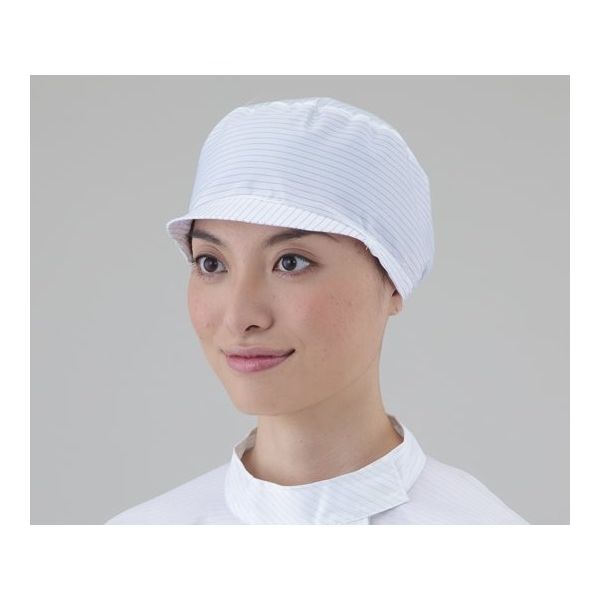 アズワン CRキャップ SD202-S 1枚 1-7071-03（直送品）