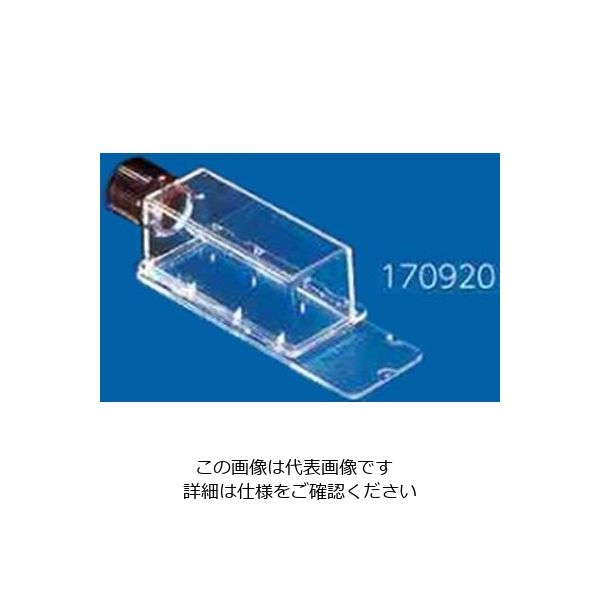 サーモフィッシャーサイエンティフィック ラブテック(R)チェンバースライド(TM) スライドフラスコ 170920 1ケース(50個)（直送品）