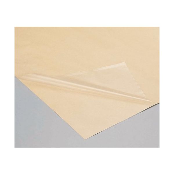 アズワン FEP粘着シートフィルム 1×1m 7-672-02 1枚（直送品）