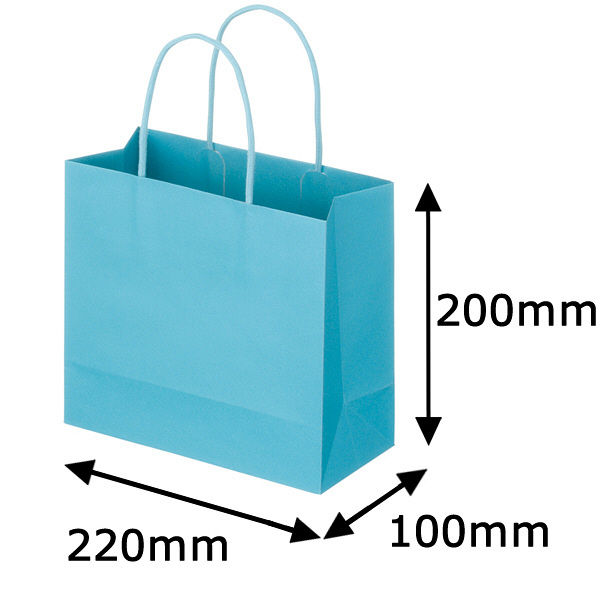 レザートーン手提袋　丸紐　アクアブルー　M　1袋（10枚入）　スーパーバッグ  オリジナル