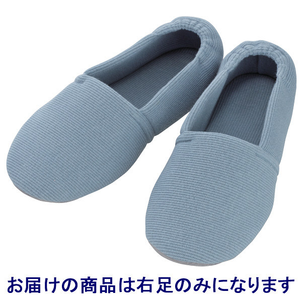 あゆみ 介護靴 2704エスパドワイド ブルーL（23.5-24.5cm）右足 室内用（取寄品）