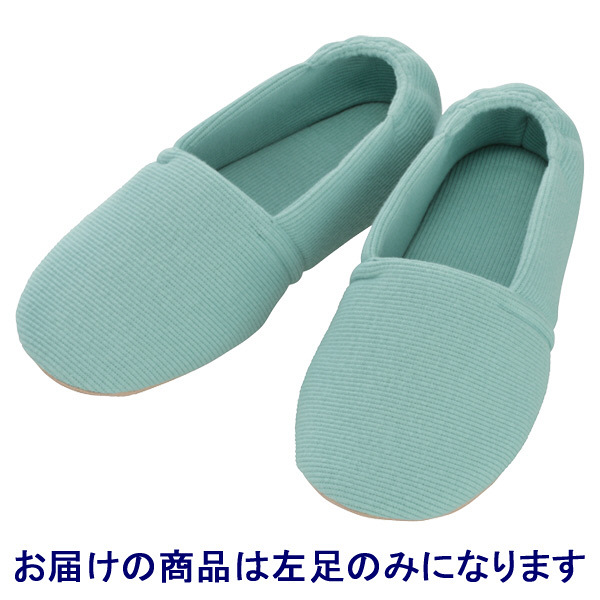 あゆみ 介護靴 2704エスパドワイド グリーンS（20.5-21.5cm）左足 室内用（取寄品）