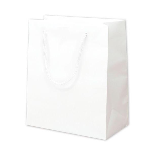 ササガワ 手提げ袋 丸紐 マット白 S22 ホワイト 50-6320 1セット（10枚：1枚×10）（取寄品）