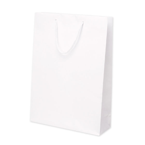 ササガワ 手提げ袋 丸紐 マット白 ホワイト L 50-6620 1セット（10枚：1枚×10）（取寄品）
