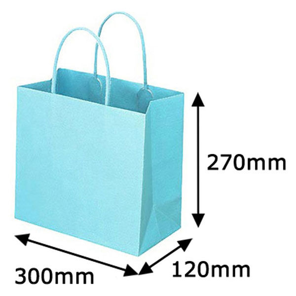 レザートーン手提袋　丸紐　アクアブルー　L　1セット（50枚：10枚入×5袋）　スーパーバッグ  オリジナル