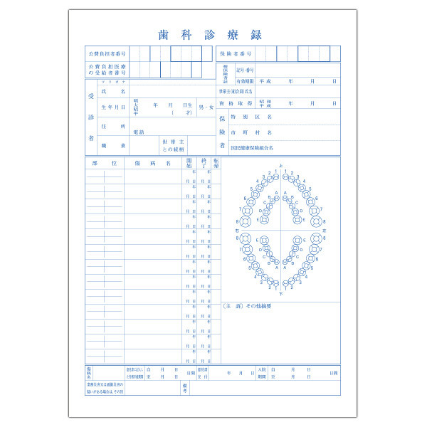 小林クリエイト 歯科診療録1号紙（A4サイズ） 青色 1-A4AO 1袋（100枚入）