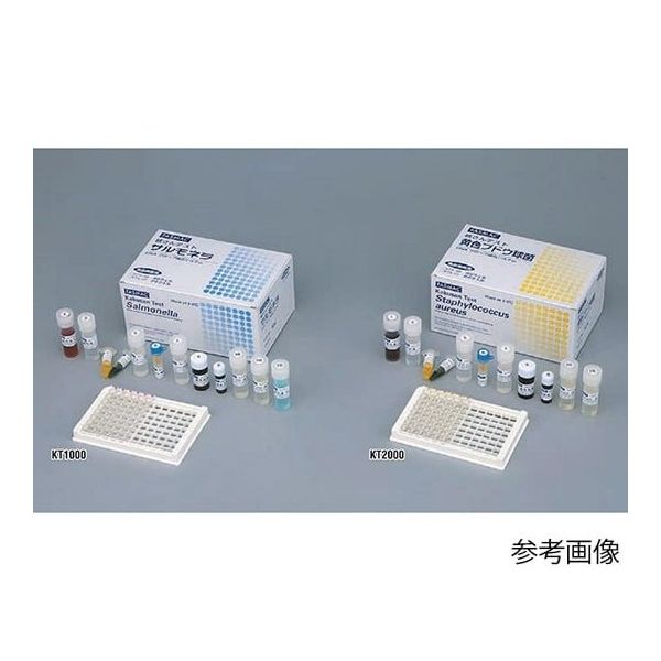 栄研化学 核さんテスト サルモネラ KT1000 1箱 2-7400-01（直送品）