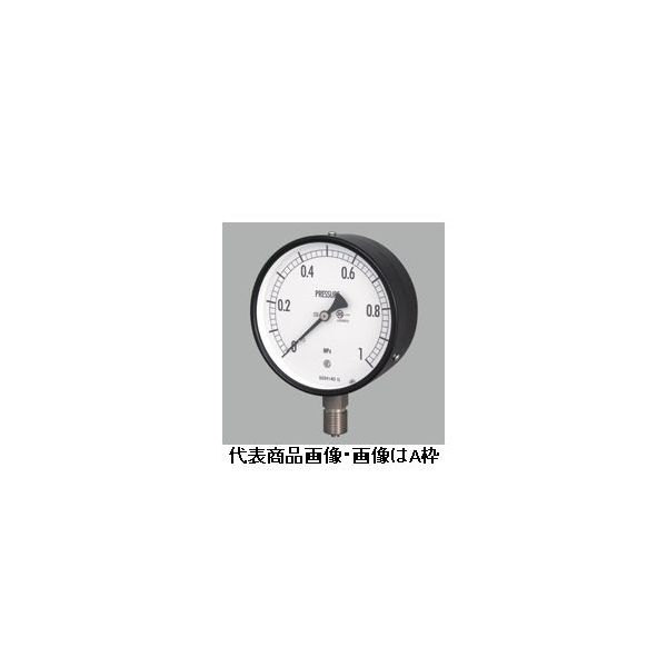 長野計器 普通形圧力計（屋内・耐食用）φ100 埋込形 AE15-243-1.6MPA 1個（直送品）