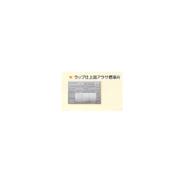 日本金属電鋳 ラップ仕上面アラサ標準片 1枚 NHKZK00011（直送品）