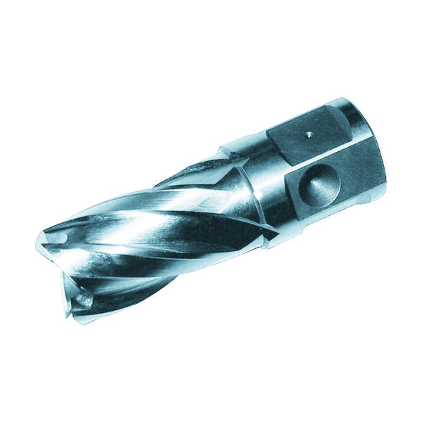 大見工業 大見 25SQハイスカッター 刃径15.0mm HCSQ150 1本(1個) 248-3181（直送品）