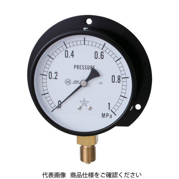 右下精器製造 右下 一般圧力計(B枠立型・φ100) 圧力レンジ0.0~0.60MPa G421-211-V-0.6MP 1個 326-0194（直送品）