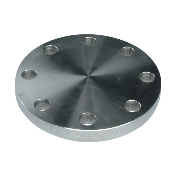 イノック ブラインドフランジ SUS304 BF 10K 50A 304BF10K50A 1個 175-4980（直送品）