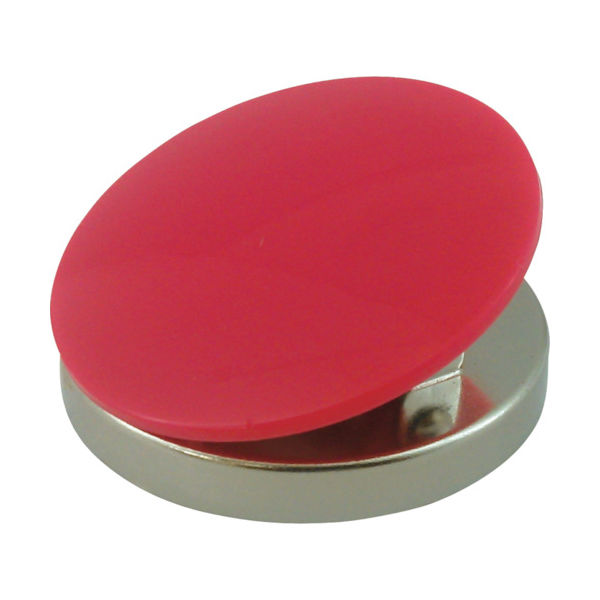 サンケーキコム サンケー カラーマグネットクリップ 大 50mm (10個入) KM-1 1箱(10個) 001-3714（直送品）