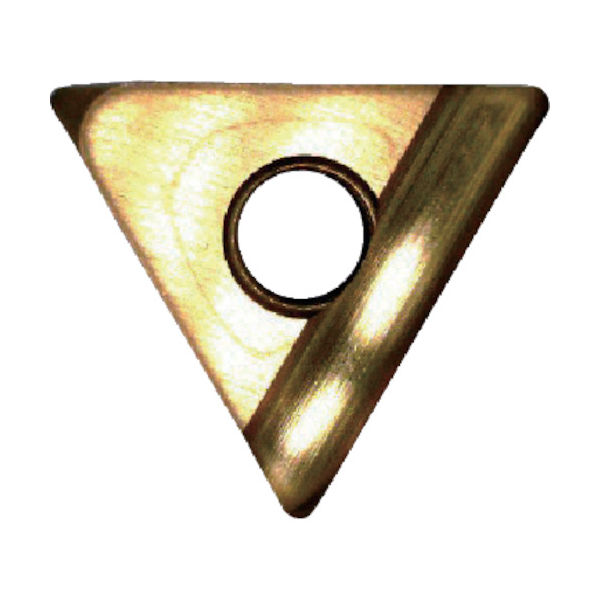 富士元工業 富士元 デカモミ専用チップ 超硬K種 TiNコーティング NK5050 T32GUX 1セット(12個) 218-9364（直送品）