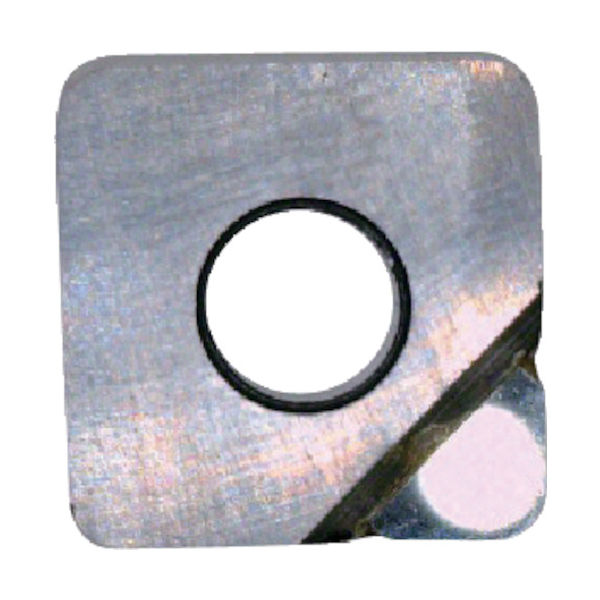 富士元工業 富士元 フェイス加工用Sタイプ精密級チップ DIA S32GUR 1個 248-1154（直送品）