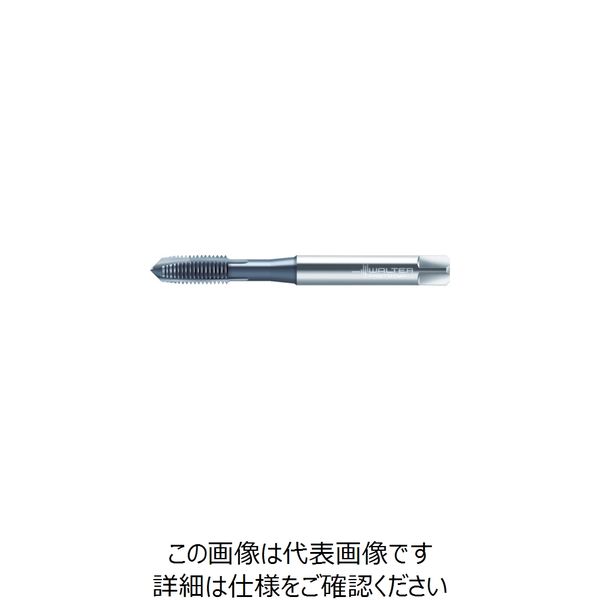 ワルタージャパン プロトティップ INOX ポイントタップ(TICNコート) JC2026306-M20 1本 390-8984（直送品）