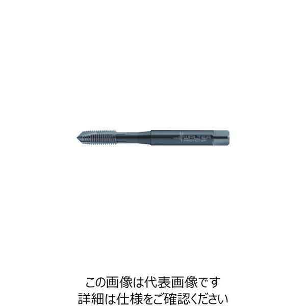 ワルタージャパン プロトティップ INOX ポイントタップ JC20263-M20 1本 390-9018（直送品）