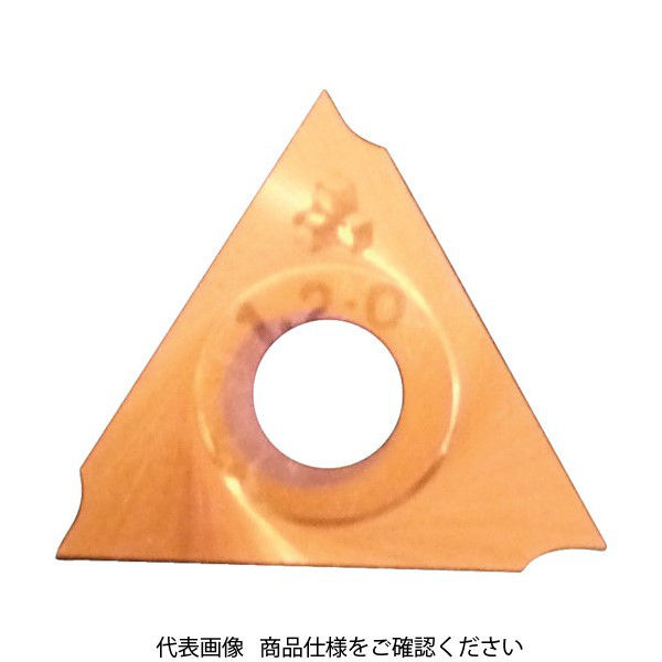 日本高周波鋼業 高周波 パラチップ 平 TlNコーティング PT212A0 1個 112-9775（直送品）