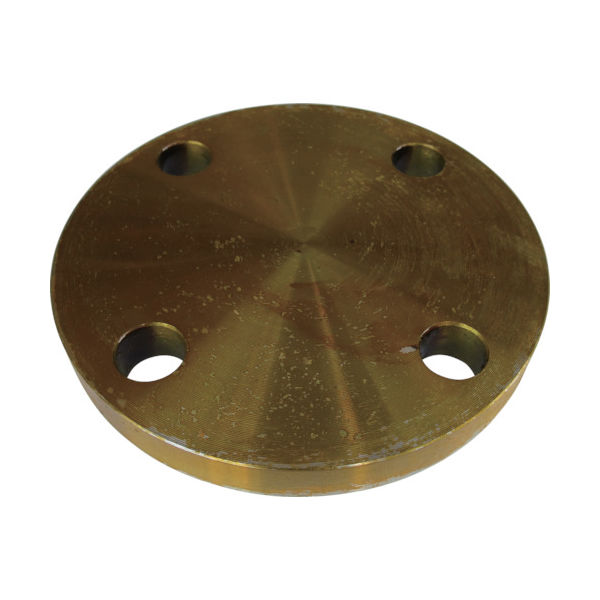 イシグロ 黒 閉止フランジ BLーFF型 SS400相当 5K 呼び径(A)25 5BL-F-25A 1個 160-6697（直送品）