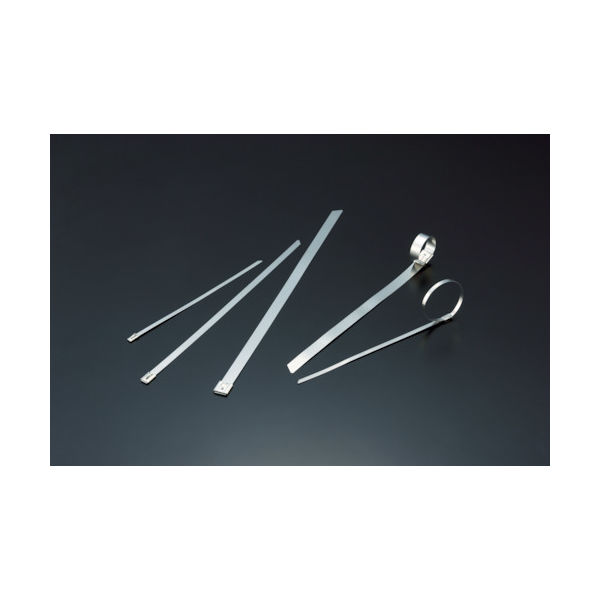 トラスコ中山 TRUSCO ステンレスケーブルタイ W7.9X300L (100本入) BCT-300L 1袋(100本) 384-2584（直送品）