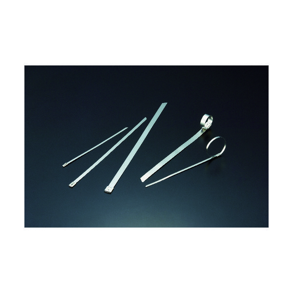 トラスコ中山 TRUSCO ステンレスケーブルタイ W4.6X127L (100本入) BCT-127 1袋(100本) 384-2495（直送品）