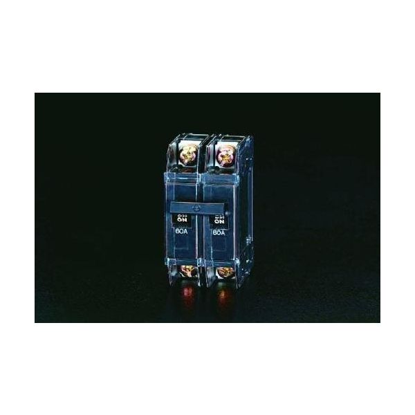 エスコ 100A/AC220V 制御盤用遮断器 EA940ML-9 1個（直送品）