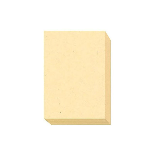 大王製紙　ダイオーマルチカラープリンタ用紙　86406　B5　1冊（500枚入）　レモン色