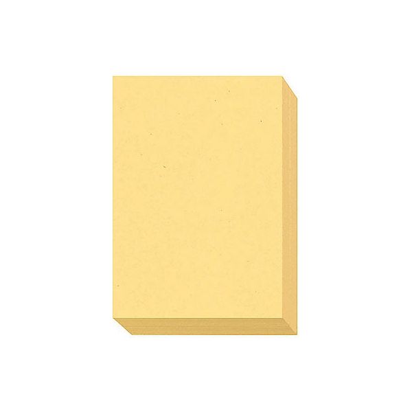 大王製紙　ダイオーマルチカラープリンタ用紙　86403　B5　1箱（2500枚入）　クリーム色