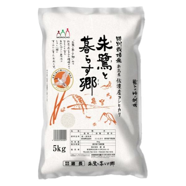 特別栽培米】 佐渡産コシヒカリ 5kg 1袋 精白米 令和5年産 諸長 米 お米 こしひかり 新潟県 アスクル