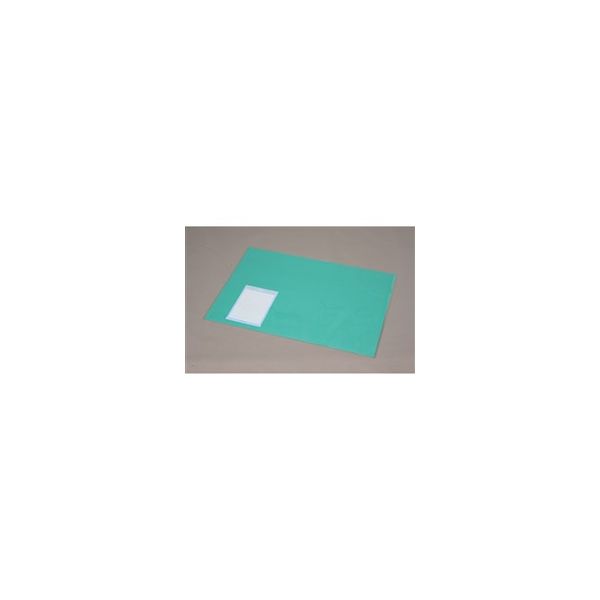 アイリスオーヤマ デスクマット DMTー6045PN ナチュラル/グリーン DMT-6045PN 1枚（直送品）