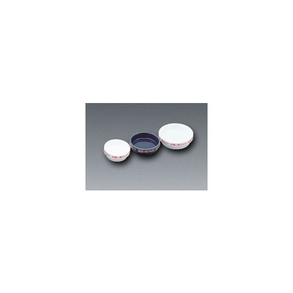 アイリスオーヤマ 鉢受皿ライトパック 24cm×3枚 ホワイト 4905009005734 1パック(3枚)（直送品）