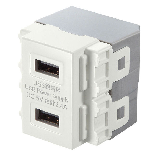 サンワサプライ 埋込USB給電用コンセント USB×2ポート TAP-KJUSB2W（直送品）