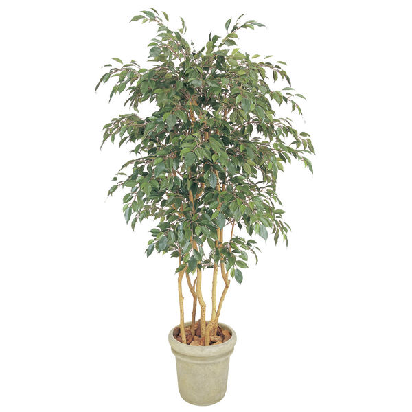 タカショー 人工観葉植物 ベンジャミン立木 5本立1.8m GD-142 1個（直送品）