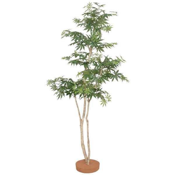 タカショー 人工植物 シュロチク シュロチク7本立 鉢無 1.8m (GD-126L