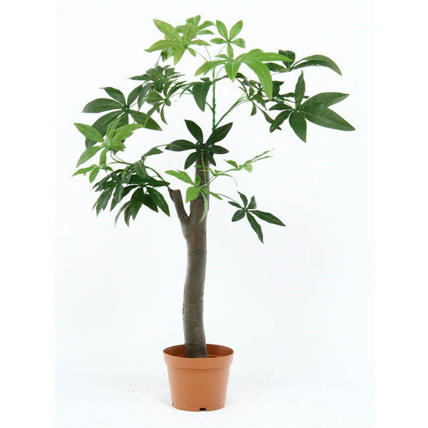 人工観葉植物 パキラ 朴の木タイプ 52665 1台 不二貿易（直送品）