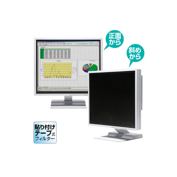 サンワサプライ のぞき見防止フィルター（17.0型） CRT-PF170T 1個（直送品）