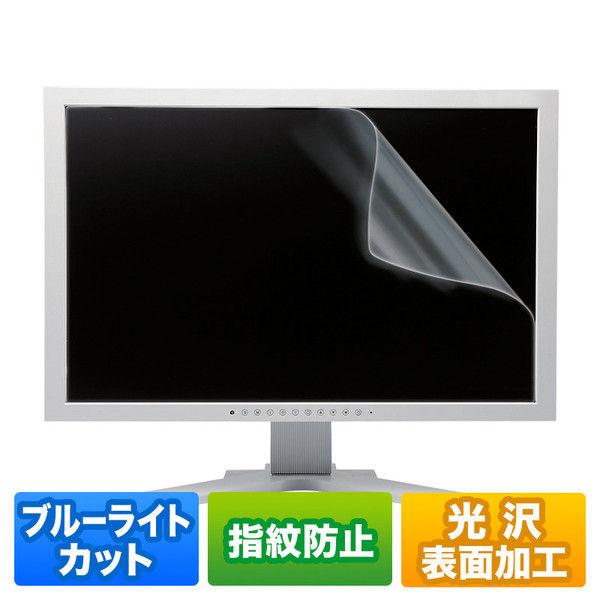 サンワサプライ 20.0型ワイド対応ブルーライトカット液晶保護指紋防止光沢フィルム LCD-200WBC 1枚（直送品）