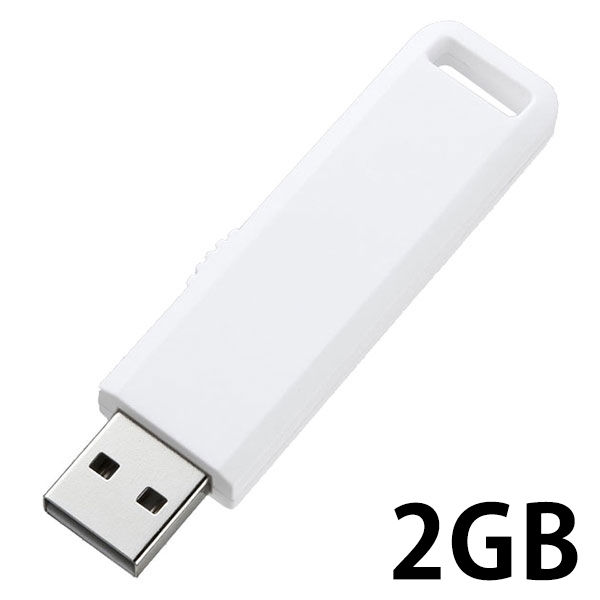 サンワサプライ USB2.0メモリ UFD-SL2GWN - USBメモリ