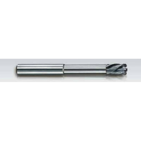 日研工作所 超硬ラジカルミルリーマ ストレートシャンク RMSS-5.0 1本（直送品） 12,870円