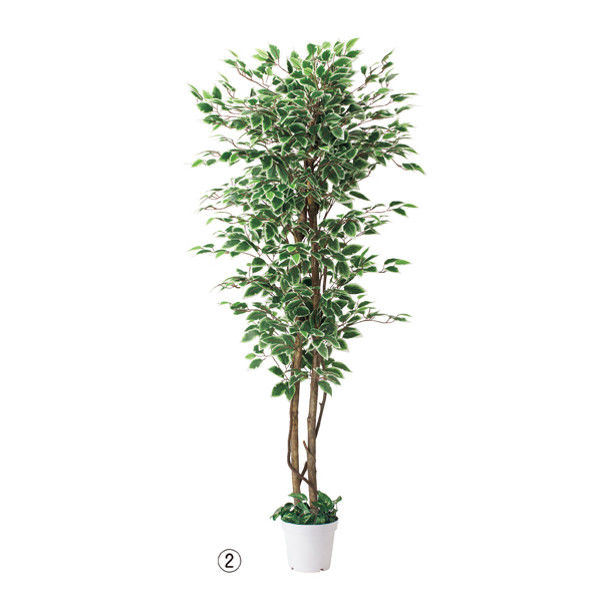 ストア・エキスプレス 立ち木（人工樹木） ベンジャミングリーン/ホワイト　人工観葉植物　インテリアグリーン　 8724-306（直送品）
