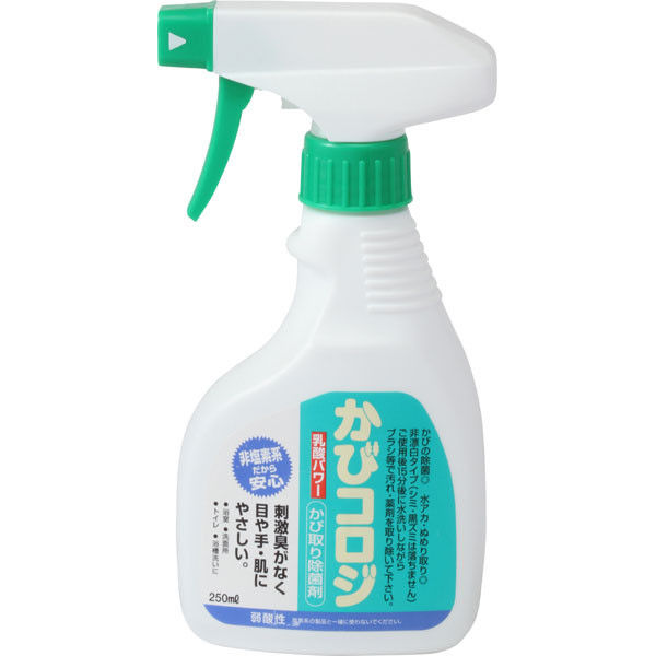 サンデーペイント かびコロジ 250ml #279005（直送品）